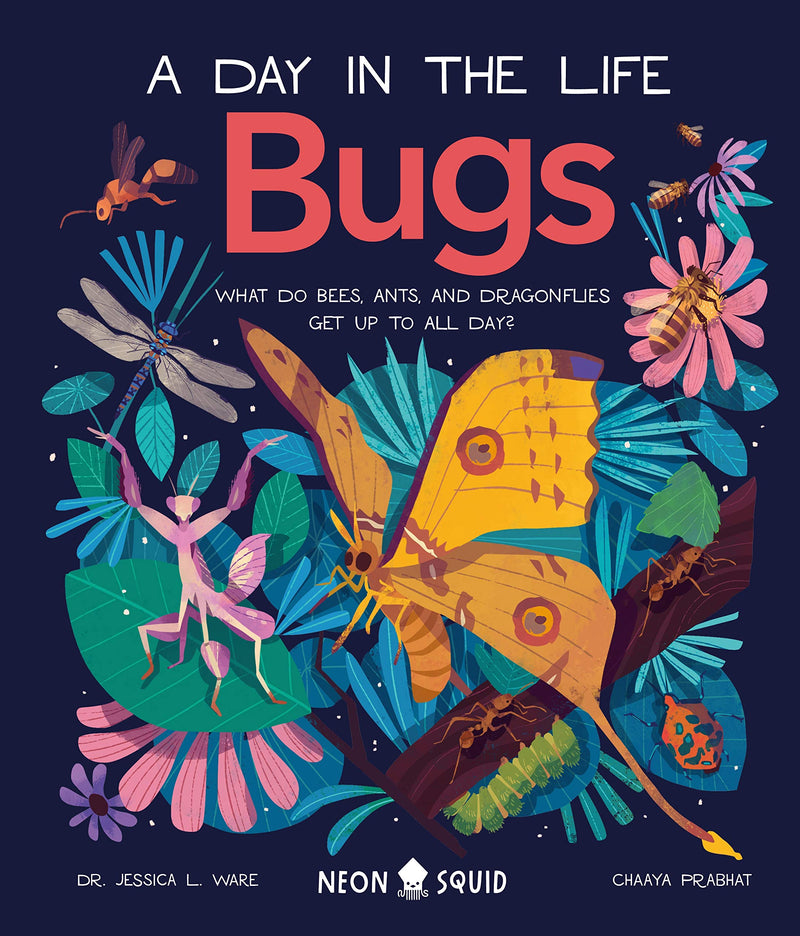 Bugs (A Day in the Life) What Do Bees, Ants, and Dragonflies Get up to All Day?