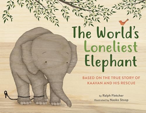 The Worlds Loneliest Elephant Based on the True Story of Kaavan and His Rescue