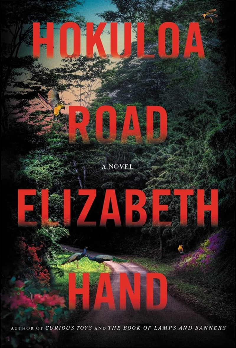 Hokuloa Road A Novel