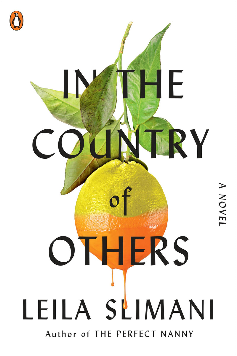 In the Country of Others A Novel