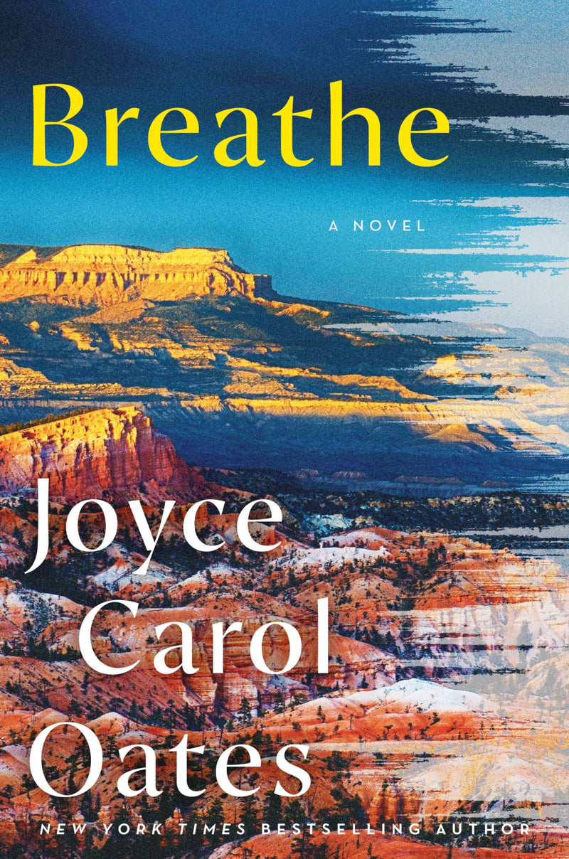 Breathe A Novel